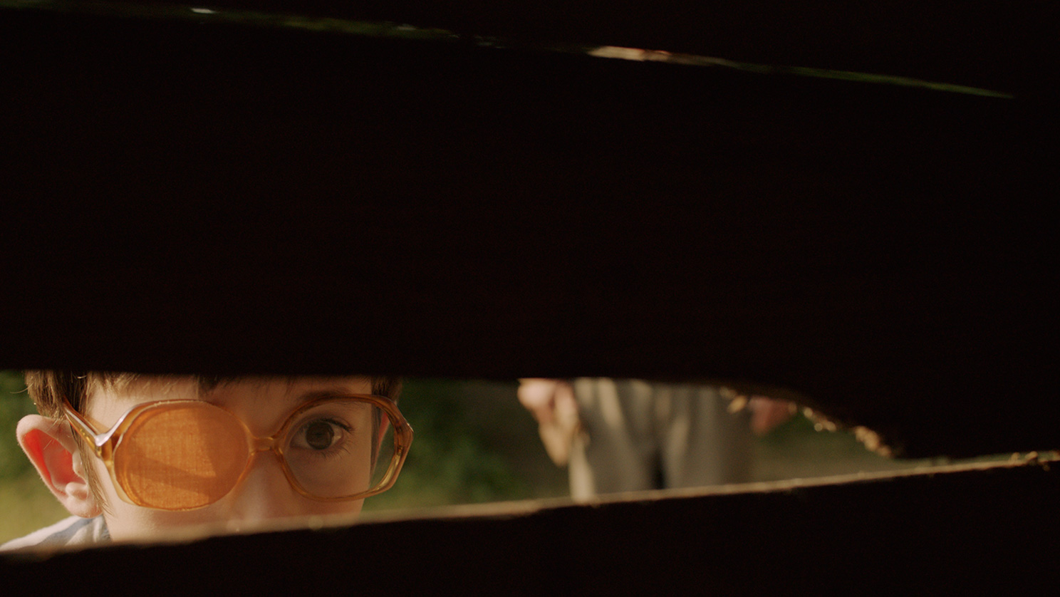 Uzbuna na Zelenom Vrhu