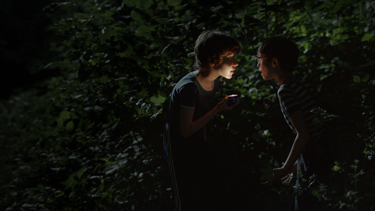 Uzbuna na Zelenom Vrhu